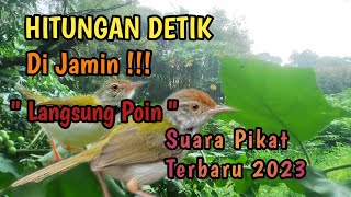 Download lagu SUARA PIKAT BURUNG PRENJAK LUMUT PALING AMPUH‼️. mp3