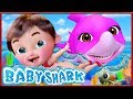 π΄ Baby Shark , Baby Shark Doo Doo Doo Doo , Wheels on the Bus ,Happy Birthday Song - Banana Cartoon π΄ Baby Shark , Baby Shark Doo Doo Doo Doo , Wheels on the Bus ,Happy Birthday Song - Banana Cartoon