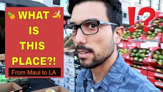 It was CRAZY! - Wholesale Produce Market, LOS ANGELES!