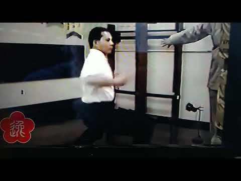 Moy Yat Arrow Punching (2)