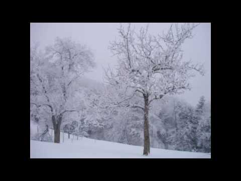 Max Bruch - Adagio nach keltischen Motiven für Violoncello und Orchester op. 56