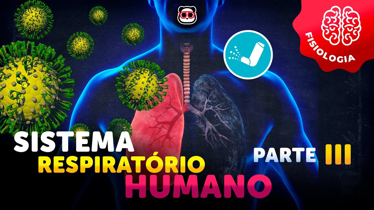 Sistema Respiratório Humano - Doenças (parte 3/3)