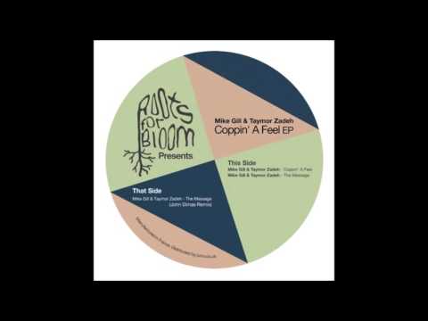 Mike Gill & Taymor Zadey - The Message [RFBR 006]