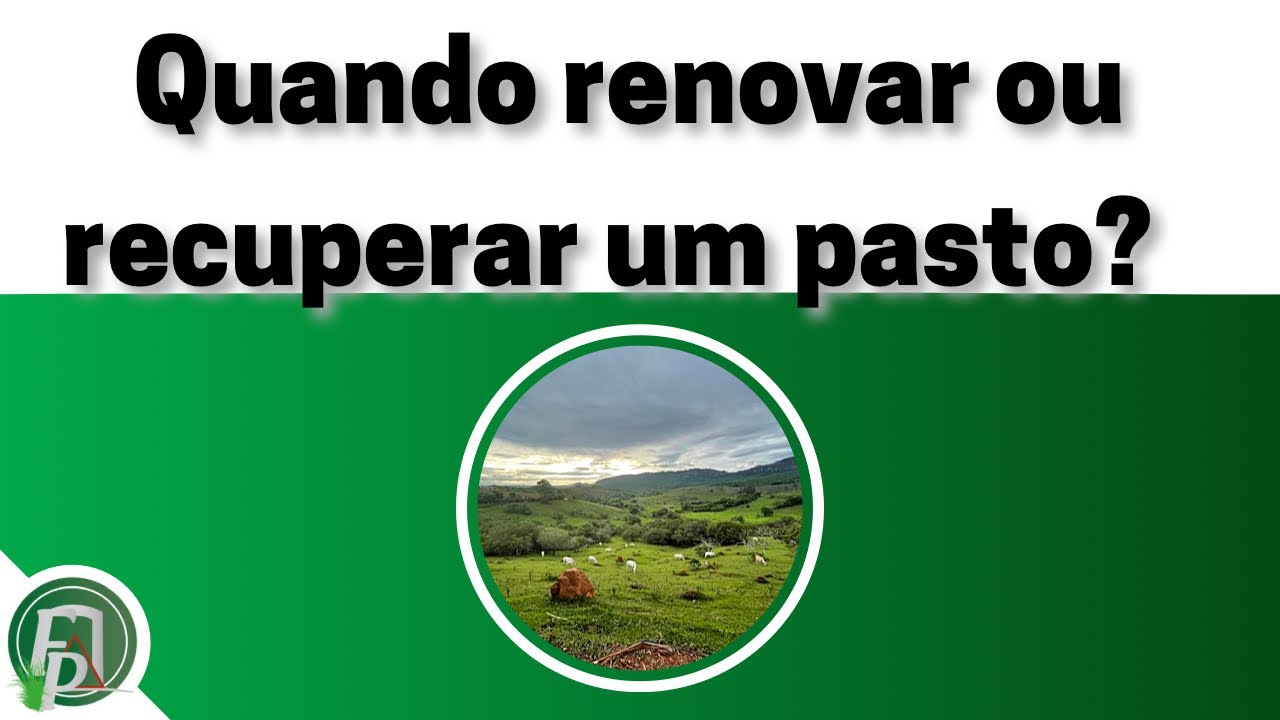QUANDO RENOVAR OU RECUPERAR UM PASTO?