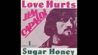 Jim Capaldi - Love Hurts - 1975