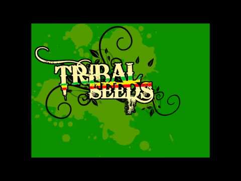 Tribal Seeds - Rasta refuse it