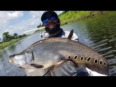 MICRO PEN ROD Catches BIG Exotic Fish | Monster Mike Fishing