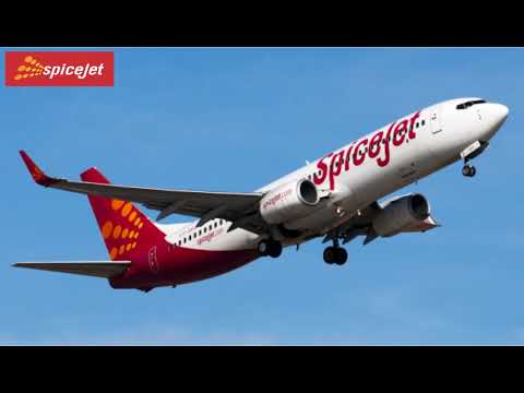 Hormoz Travel Tours & Cargo