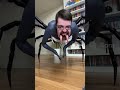Ricky Berwick Becoming A Hungry Spider Viral Humor Memes Ai