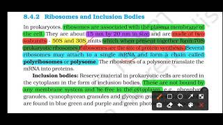 Ribosome & inclusion bodies-NCERT lines extracted-part-5-cell the unit of life