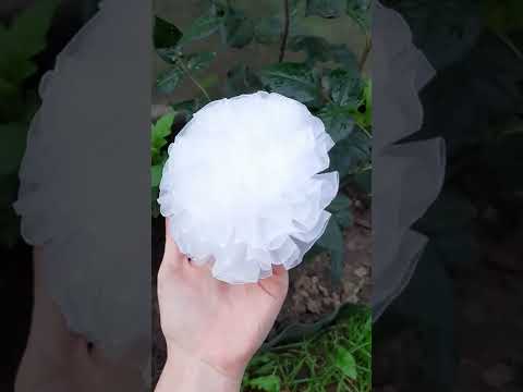 Пышные бантики на 1 Сентября 9 июля 2022 г.