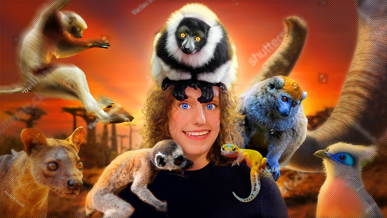 🌴 THE MYSTERY OF MADAGASCAN BIODIVERSITY FINALLY SOLVED… BY GEOLOGISTS?! 🐘🌍