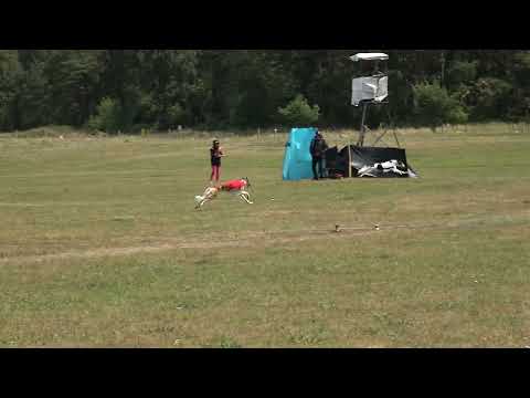 308 R SK Valeska Splendidly Herself At Charsandal 229 x W DE Stepun'S Ivannija 248