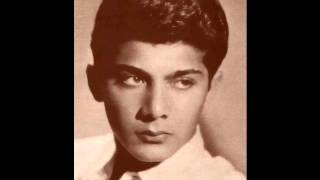 Paul Anka - Crying In The Wind
