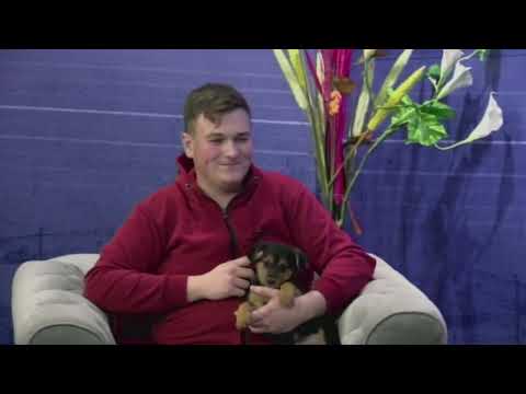 Dunavsko popodne 01.12 - gost Nikola Stojković