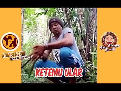 kombi-heppiii-ketemu-ular