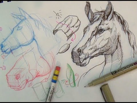 Pen and Ink Drawing Tutorials | How to draw a horse portrait