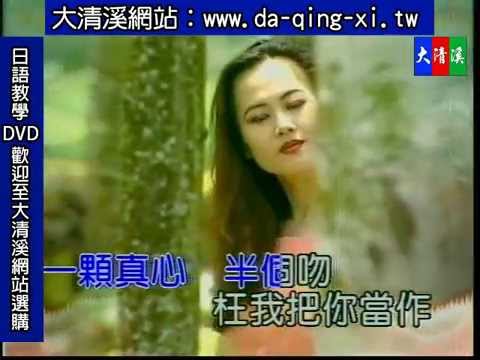 大清溪影視-全國KTV冠軍曲10首歌合集06 1(一個人的我依然會微笑~說走就走~別怕我傷心)，卡拉OK伴唱帶