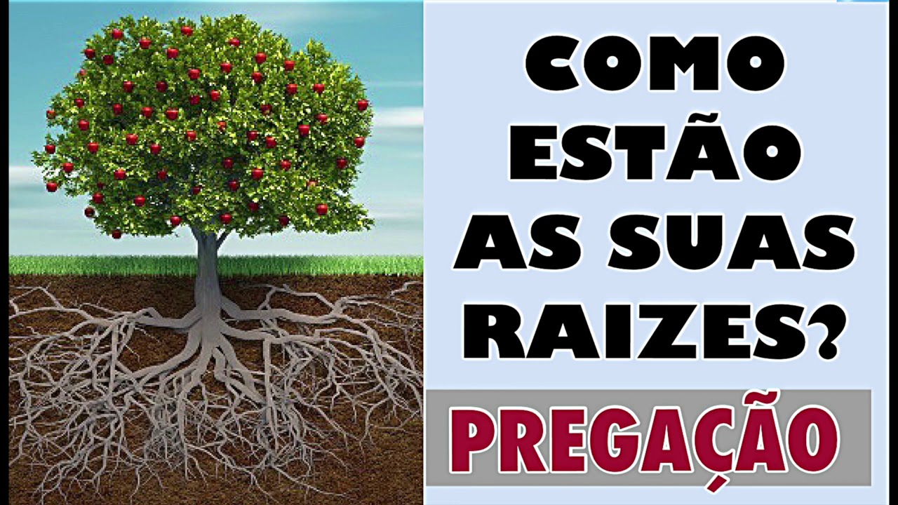 COMO ESTÃO AS SUAS RAÍZES? |PREGAÇÃO.