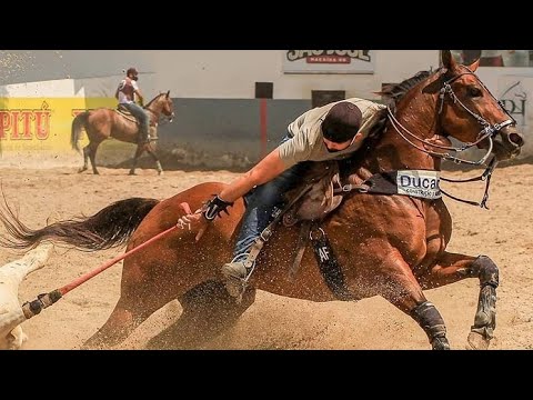 a mocidade da gente passa ligeiro demais - Geninho Batalha - [Vaqueiro Do Sertão]