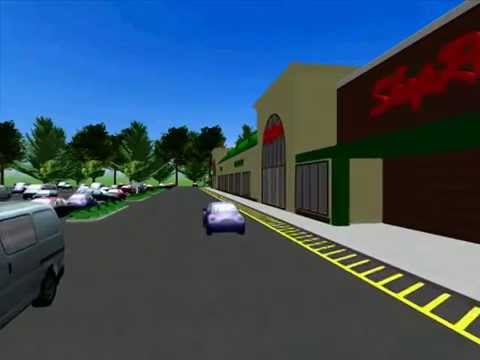 Shoprite Mall in You Tube format 3-27-10.mp4