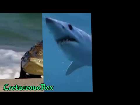 The Animal Mep part 10 for Jurassic King