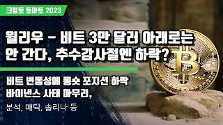 11/22) 윌리우 - 비트 3만 달러 아래로는 안 간다, 추수감사절엔 하락? 비트 변동성에 롱숏 포지션 하락바이낸스 사태 마무리,