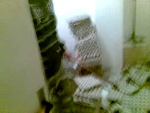 Attack - Upratovanie skušobne 1...