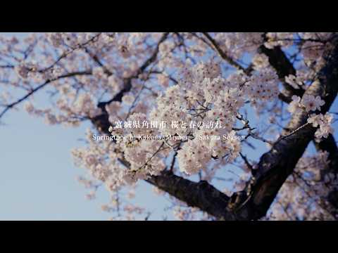 【角田市PR動画】宮城県角田市｜桜と春の訪れ