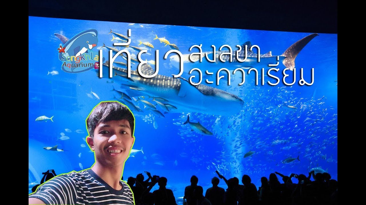 Songkhla Aquatic Animal Exhibition Center (Songkhla Aquarium)