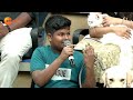 வீட்டின் செல்லப்பிராணி உயிர் போகும் 