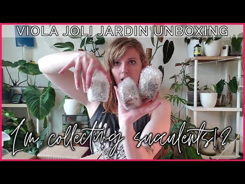 I Am Collecting Succulents! Viola Joli Jardin Unboxing