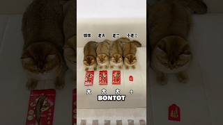 Download lagu 😂#shorts mp3 Download lagu 😂#shorts mp3