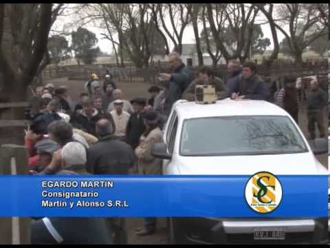 EDGARDO MARTIN - Martin y Alonso S.R.L. - Guaminí - 06/09/2013