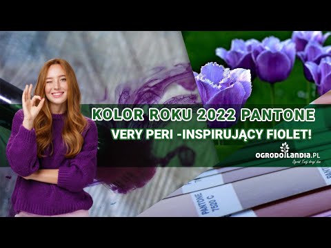 Kolor roku 2022 Pantone - Very Peri - inspirujący fiolet!