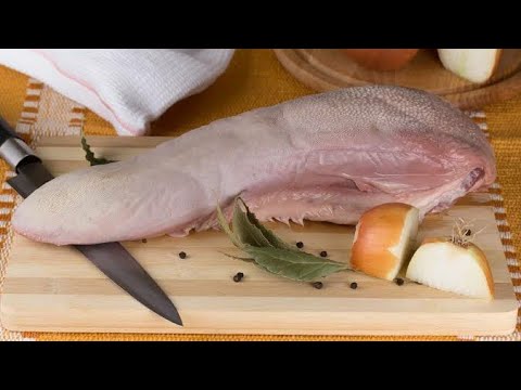 download lagu mp3 mp4 Smoked Beef Tongue Brine, download lagu Smoked Beef Tongue Brine gratis, unduh video klip Smoked Beef Tongue Brine