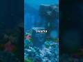Krishna S Lost City Found Underwater Myth Or Truth
