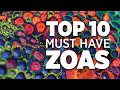 Top 10 Must Have Zoanthids World Wide Corals