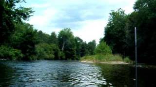 Horse Fly near my Rig