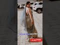 Mere Jigar Ka Challa Tu Meri Jaan Re Shortvideo Haryanvi Status