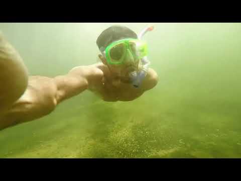 Explorando la isla de la tuna, Canelones, Uruguay. (Isla de los albardones)