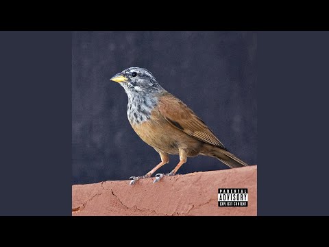 Dart Sinta (Interlude)