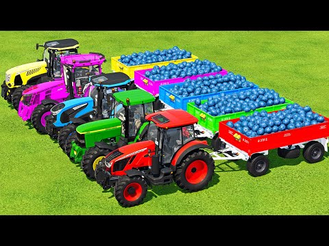 LOAD BLUEBERRIES & TRANSPORT BATTLE WITH JOHN DEERE, ZETOR, LANDINI & MCCORMICK TRACTORS - FS22
