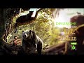 Le Livre De La Jungle BA 6 M6