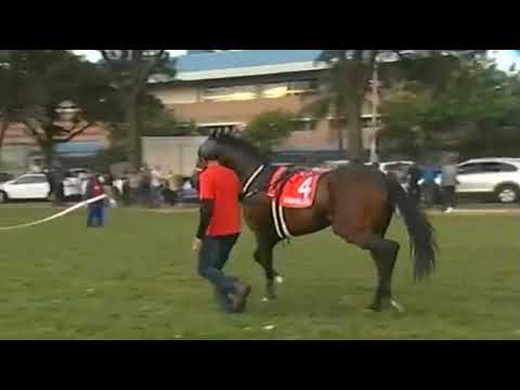 Hawwaam scratched from the July