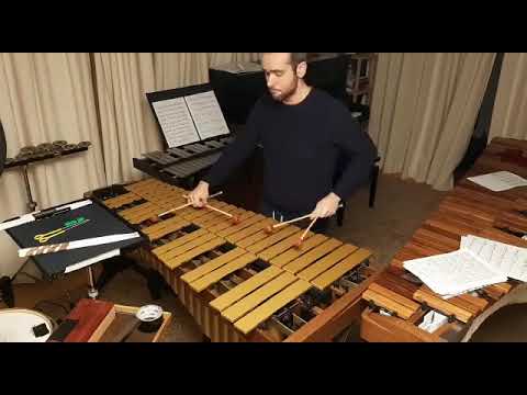 "La Strada" Nino Rota soundtrack impro Simone Rubino SRV1 MARIMBA #mallets