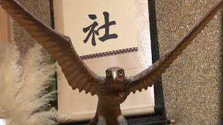 - 実家からお届けします。