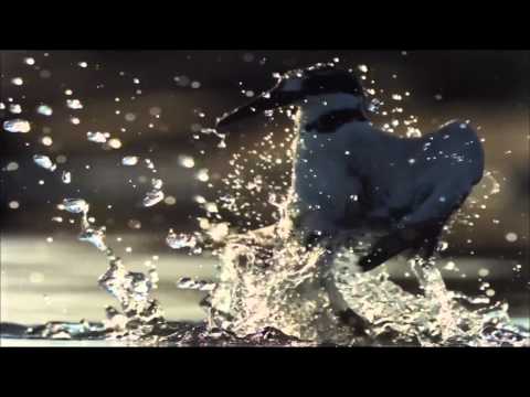 Reasonandu & Adrian Enescu - Peaceful Heart