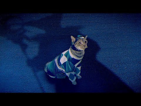 Mighty Morphin Meower Rangers | Ep 3 – Look Who’s Evil!