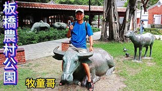 板橋農村公園8月10日